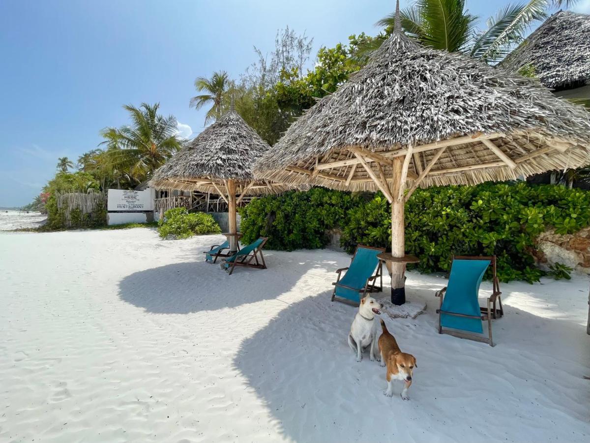מאטמווה Hebe Bungalows Lodge מראה חיצוני תמונה