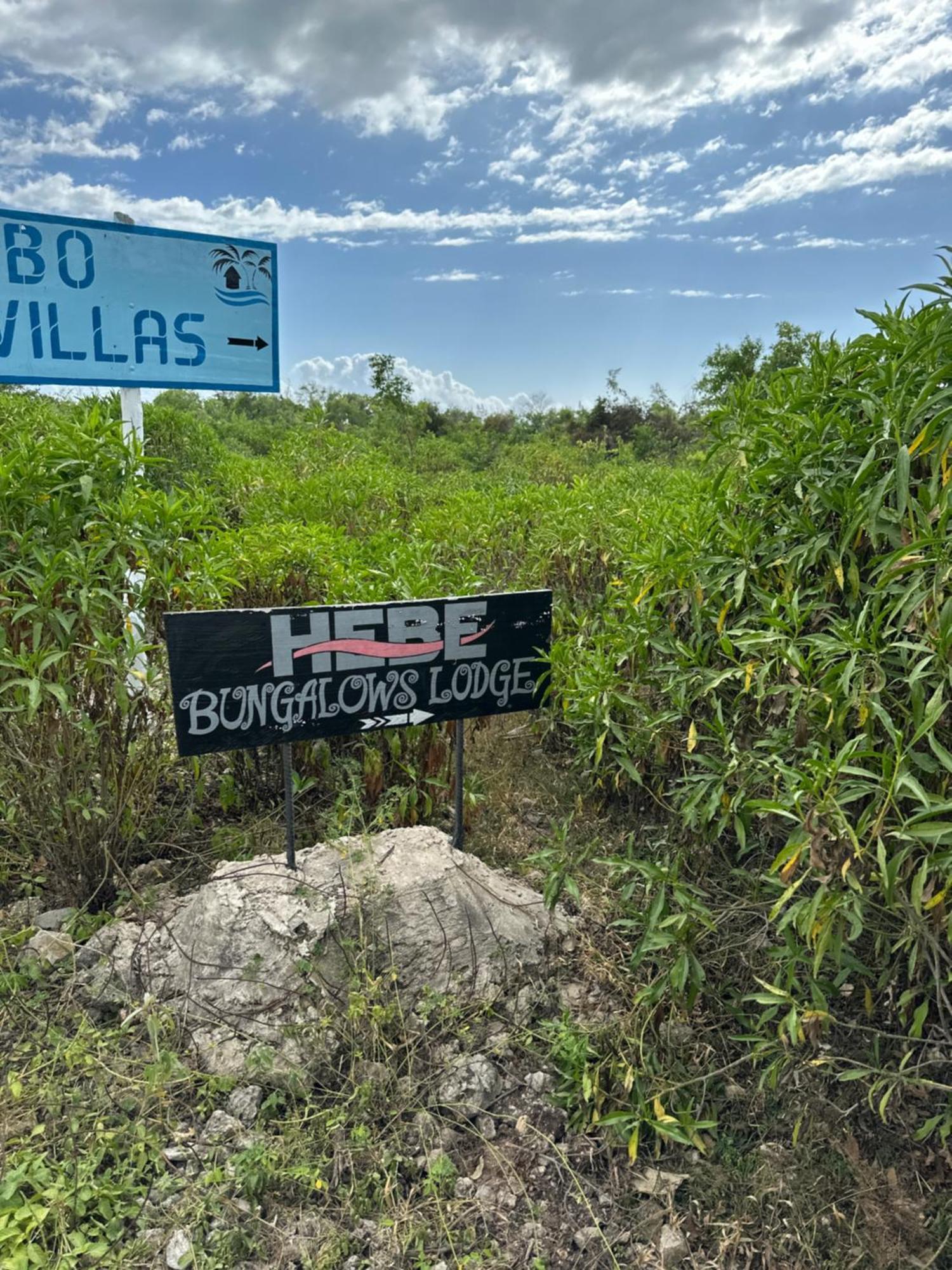 מאטמווה Hebe Bungalows Lodge מראה חיצוני תמונה